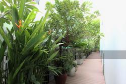 Eastwood Ville (D16), Terrace #136350982